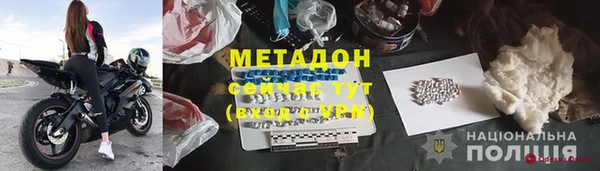 шишки Арсеньев