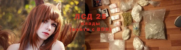 шишки Арсеньев