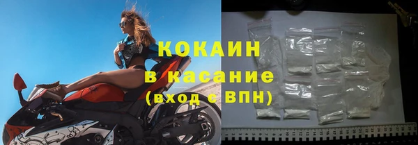 шишки Арсеньев