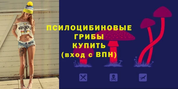 2c-b Армянск