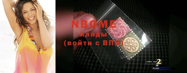 шишки Арсеньев