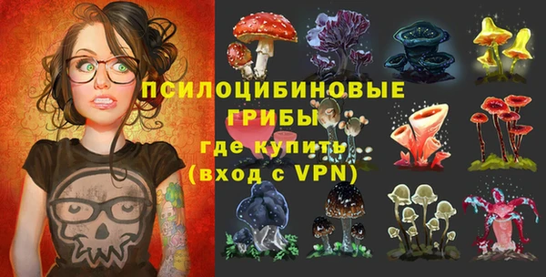 спиды Аркадак