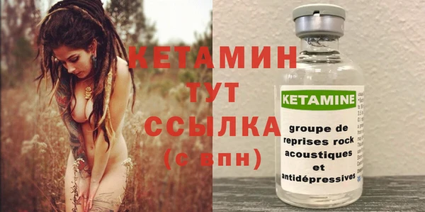 шишки Арсеньев