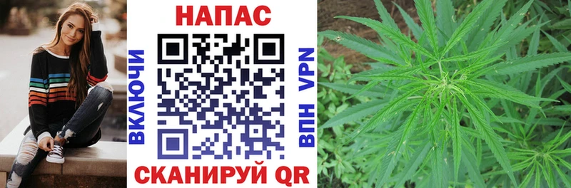 Канабис White Widow как найти закладки MEGA зеркало Очёр
